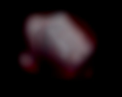 Member Image