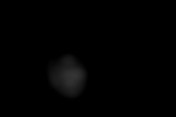 Member Image