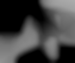 Member Image