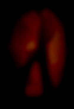 Member Image