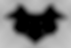 Member Image