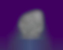 Member Image
