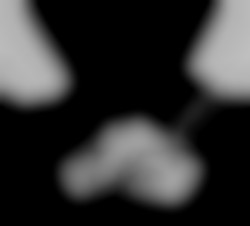 Member Image