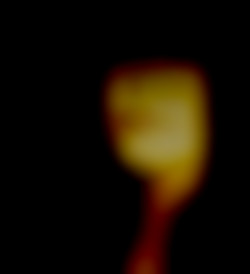 Member Image