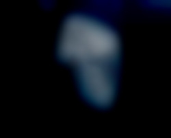 Member Image