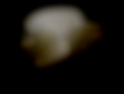 Member Image