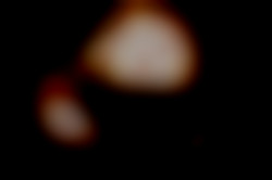Member Image