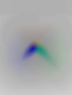 Member Image