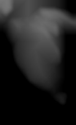 Member Image