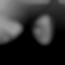 Member Image