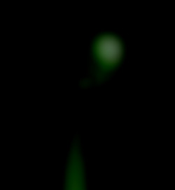 Member Image