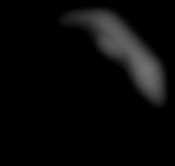 Member Image