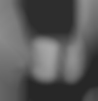 Member Image