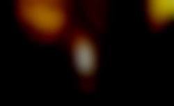 Member Image