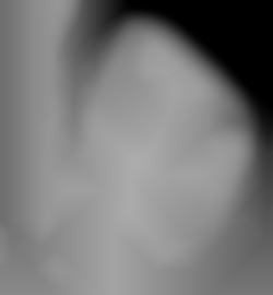 Member Image