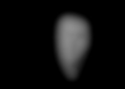 Member Image