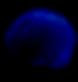 Member Image