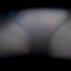 Member Image