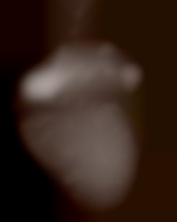 Member Image