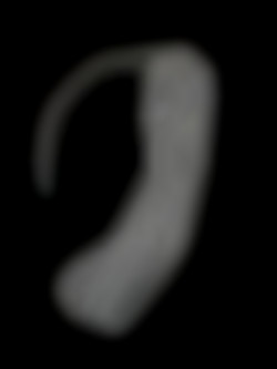 Member Image