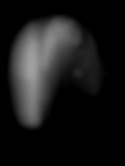 Member Image