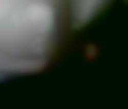 Member Image