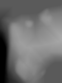 Member Image
