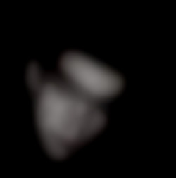 Member Image