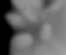Member Image