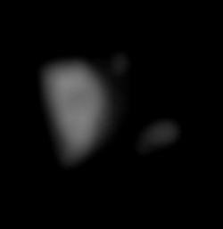 Member Image
