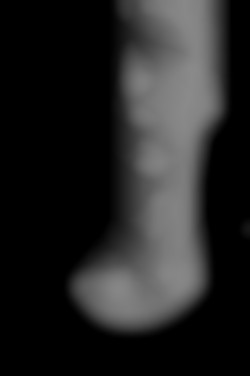 Member Image