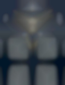 Member Image