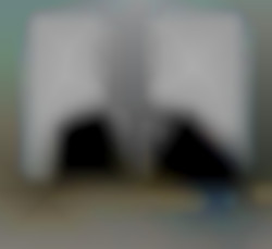 Member Image