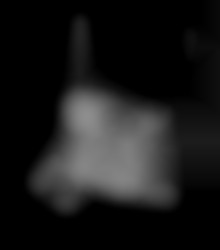 Member Image