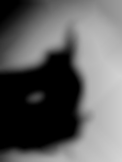 Member Image