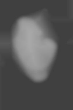 Member Image