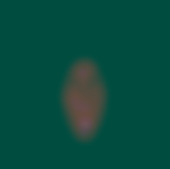 Member Image