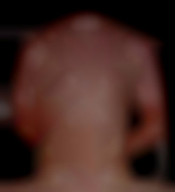 Member Image