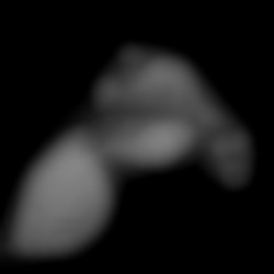 Member Image