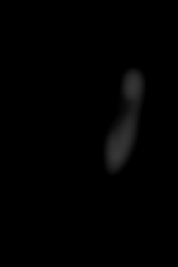 Member Image