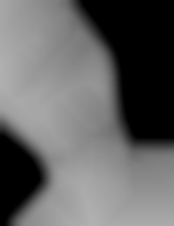 Member Image