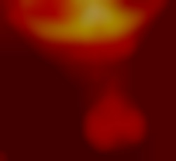 Member Image