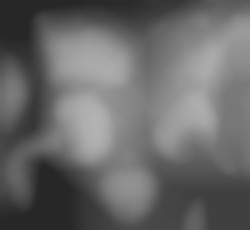 Member Image