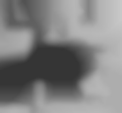 Member Image