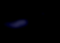 Member Image
