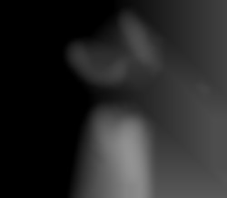 Member Image