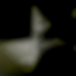 Member Image