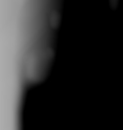 Member Image
