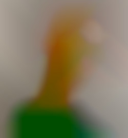 Member Image