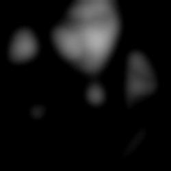 Member Image